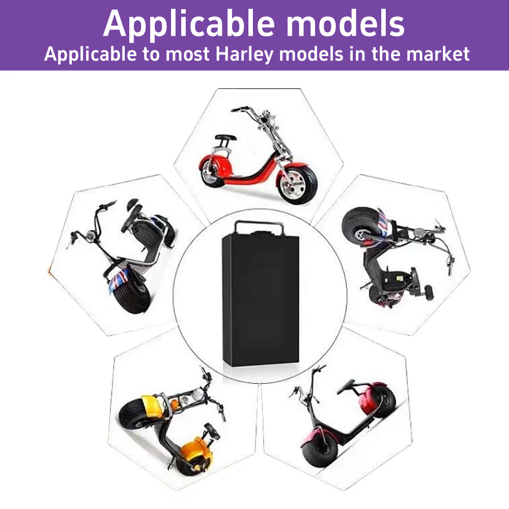 60V for Harley Electric Vehicl - 60V 30Ah Electric Scooter Battery 评论和价格